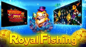66br bet